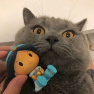 Big Avatar