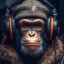 KingKongKZ