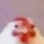 NUGGET