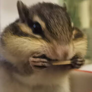 其实不爱吃胡萝卜