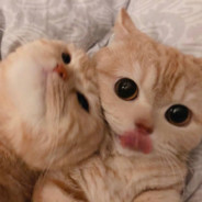 和好容易如初太难