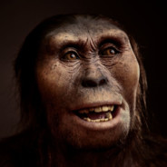 Avstralopitec CS.MONEY