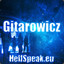 Gitarowicz hurtfun.com