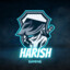 harish ⇆ trading