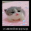 СОЛЕВОЙ ВЕЗДЕХОД