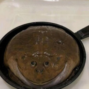frog in a pan