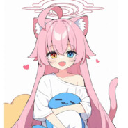 国家资本主义实践人