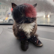 СвяТой_ТапоК #7