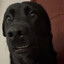 tytoooOOO's avatar