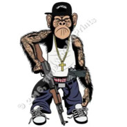 深圳男桐王一乐