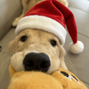 老公做鸭我收钱