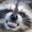 rabid_raccoon's avatar