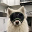 KJucy's avatar
