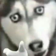 去靶场看我击靶