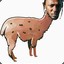 KENDRICK LLAMA