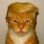 TOM