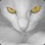 white_kitty