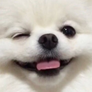 YoZ