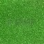 A Green Carpet
