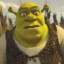 Shrek1210