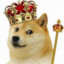 DOGE LORD