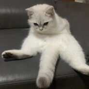 香屁