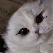 Nell avatar