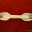 Spork