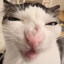 marmalade