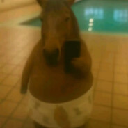 vervloekt - steam id 76561199491443597