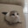 gleep