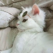 Big Avatar