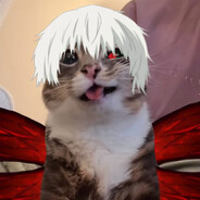 lanszicz