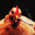 Smoked Chicken