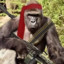 Sniper_Monke2