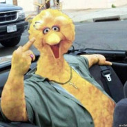 BigBird
