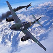 CrazyBird911