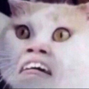 小hal-淘宝搜索TSM工作室