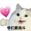 坚果