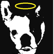 ntxdave avatar