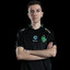 Falcons kyxsan