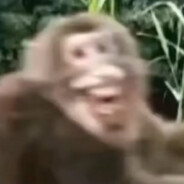 森林卫士 吉吉国王