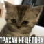 T1SHKA