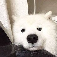 ㅠㅠ