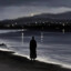 君安