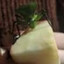 green buge eat apple so nice