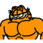 Buff Garfield