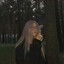 zynn