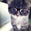 wassup.majcia