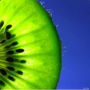 kiwi